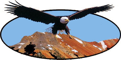 Eagle Ridge Taxidermy